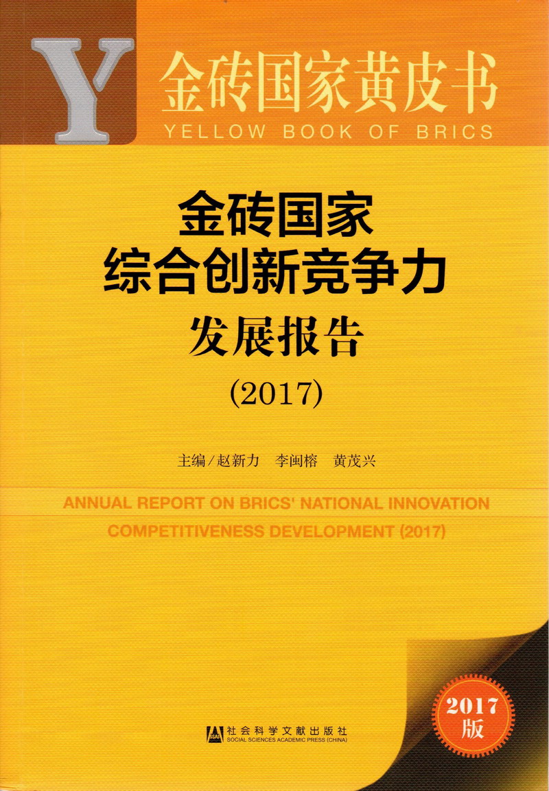 大黑逼想被鸡吧操金砖国家综合创新竞争力发展报告（2017）